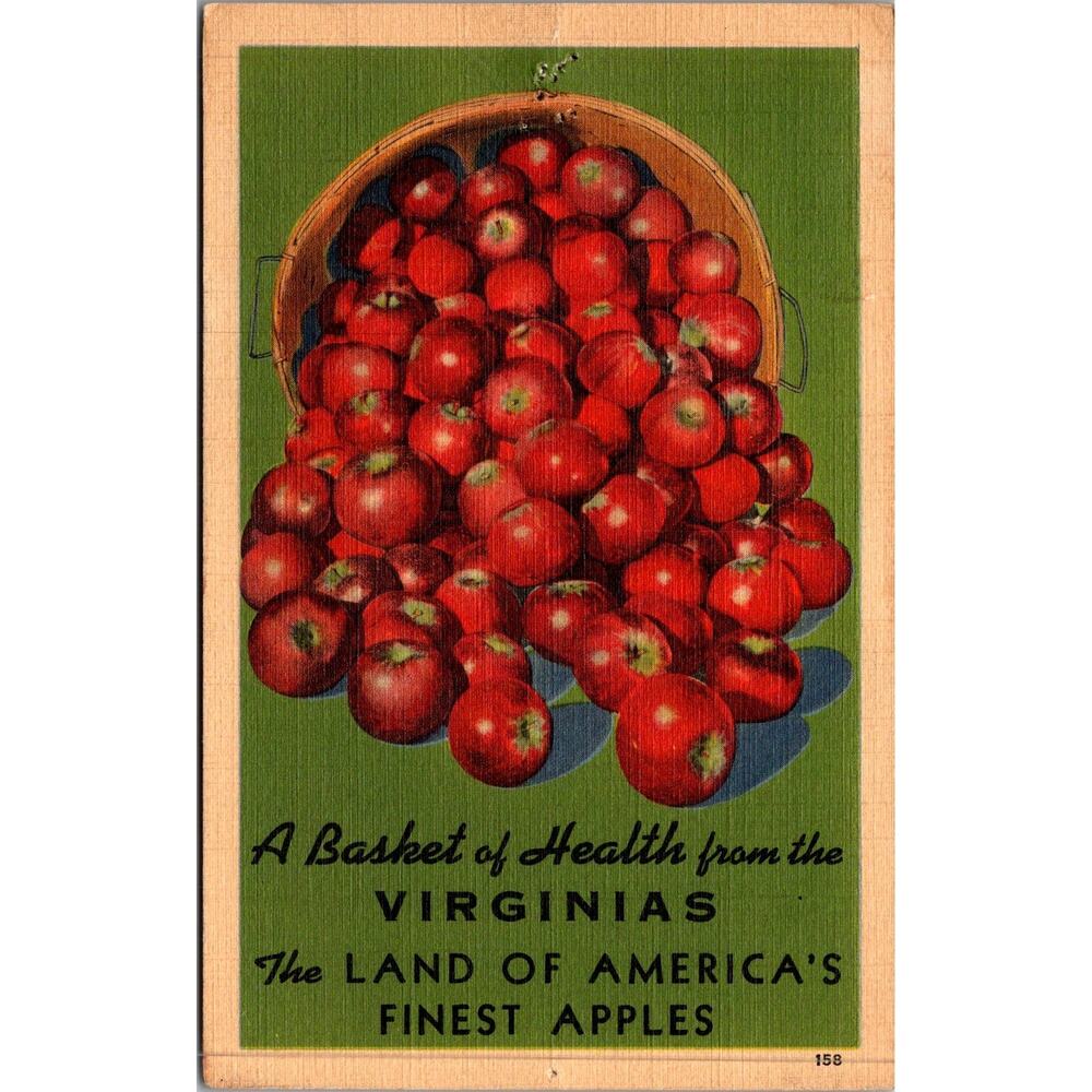 A Basket of Health Land of America's Finest Apples Vintage Postcard SP17-17